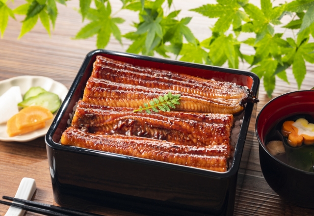 母とのうなぎランチは、思い出を巡る味